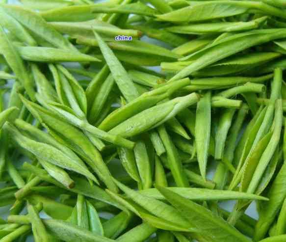 九节茶的用量是多少-九节茶的用量是多少克