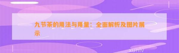 九节茶的用法与用量：全面解析及图片展示