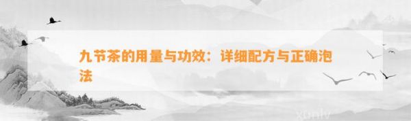九节茶的用量与功效：详细配方与正确泡法