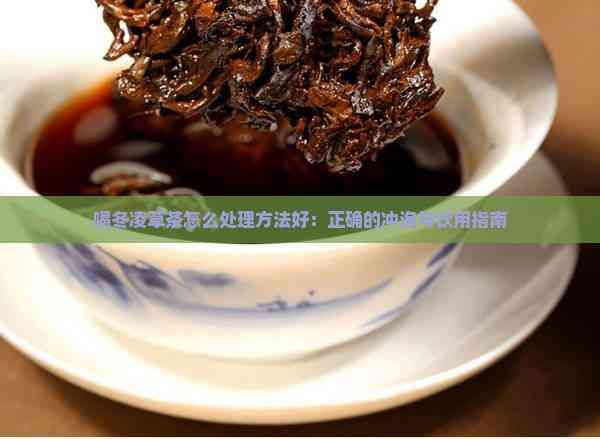 喝冬凌草茶怎么处理方法好：正确的冲泡与饮用指南