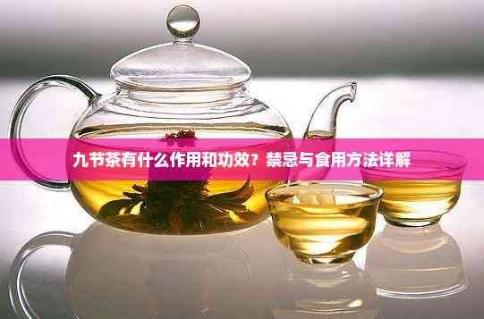 九节茶有什么作用和功效？禁忌与食用方法详解