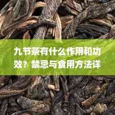 九节茶有什么作用和功效？禁忌与食用方法详解