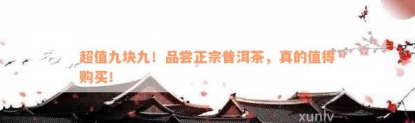 超值九块九！品尝正宗普洱茶，真的值得购买！