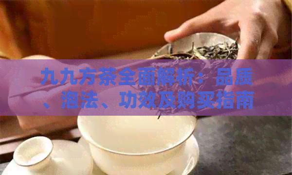 九九方茶全面解析：品质、泡法、功效及购买指南，满足您的所有疑问