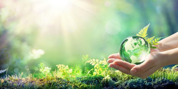 Hands Holding Globe Glass In Green Forest - Environment Concept