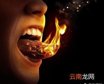 玫瑰花茶的注意事项