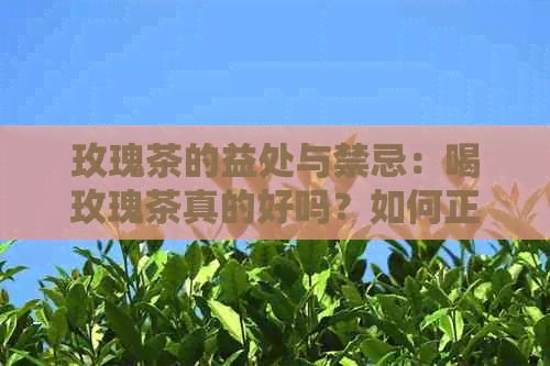 玫瑰茶的益处与禁忌:喝玫瑰茶真的好吗?如何正确饮用以获得效果?