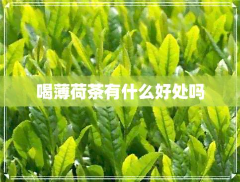 喝薄荷茶有什么好处吗