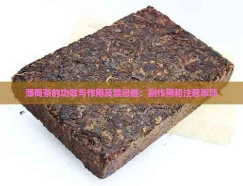 薄荷茶的功效与作用及禁忌症：副作用和注意事项