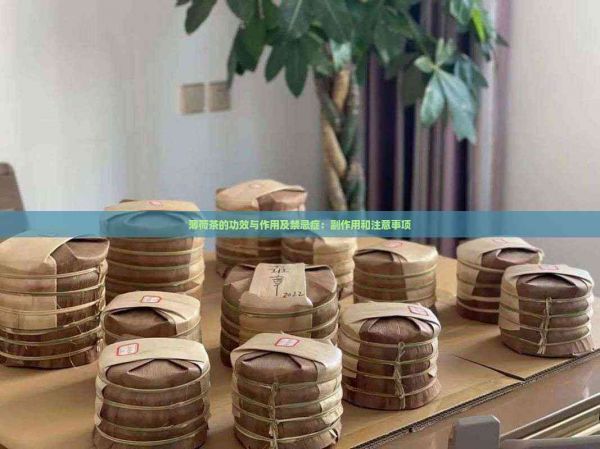 薄荷茶的功效与作用及禁忌症：副作用和注意事项