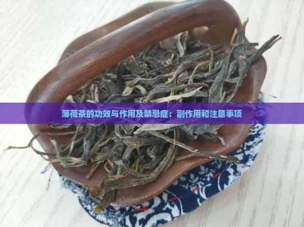 薄荷茶的功效与作用及禁忌症：副作用和注意事项
