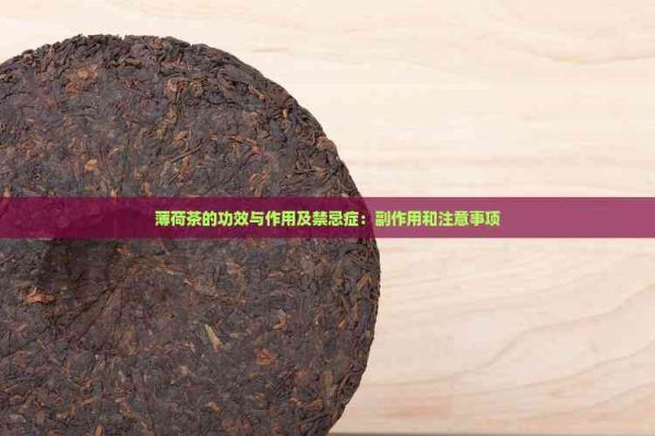 薄荷茶的功效与作用及禁忌症：副作用和注意事项