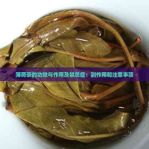 薄荷茶的功效与作用及禁忌症：副作用和注意事项
