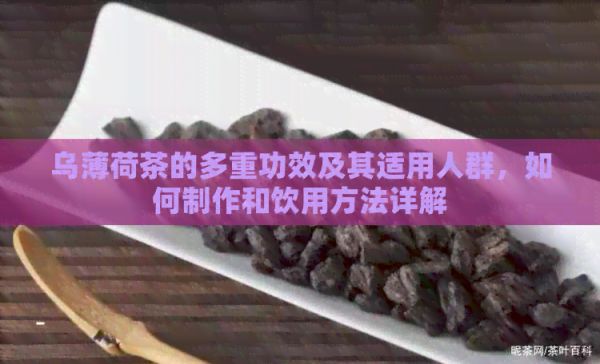 烏薄荷茶的多重功效及其適用人群，如何制作和飲用方法詳解