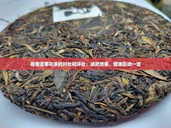 喝普洱菊花茶的好處和壞處：減肥效果、健康影響一覽