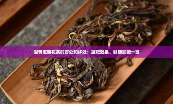 喝普洱菊花茶的好處和壞處：減肥效果、健康影響一覽