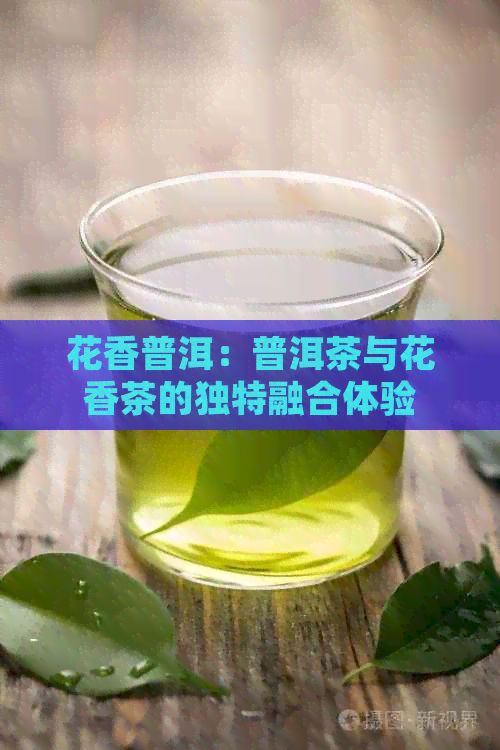 花香普洱：普洱茶與花香茶的獨特融合體驗