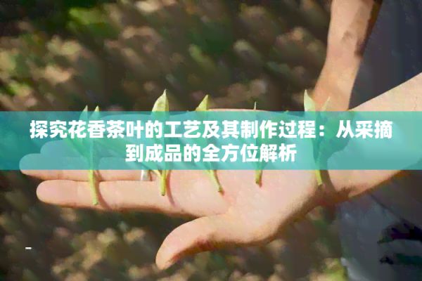 探究花香茶葉的工藝及其制作過程：從采摘到成品的全方位解析