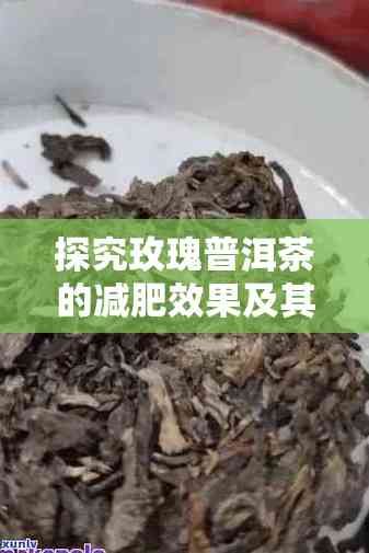 探究玫瑰普洱茶的減肥效果及其正確飲用 