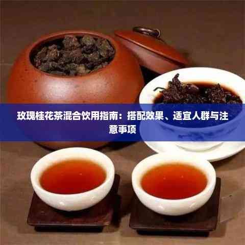 玫瑰桂花茶混合飲用指南：搭配效果、適宜人群與注意事項(xiàng)