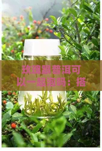 玫瑰跟普洱可以一起泡嗎：搭配泡制方法與功效探究