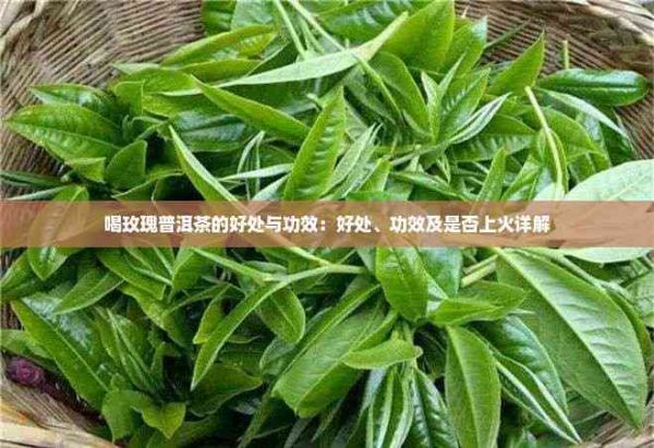 喝玫瑰普洱茶的好處與功效：好處、功效及是否上火詳解