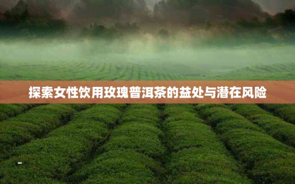 探索女性飲用玫瑰普洱茶的益處與潛在風(fēng)險(xiǎn)