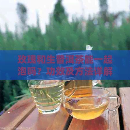 玫瑰和生普洱茶能一起泡嗎？功效及方法詳解