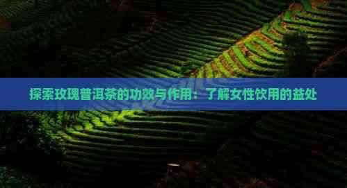 探索玫瑰普洱茶的功效與作用：了解女性飲用的益處