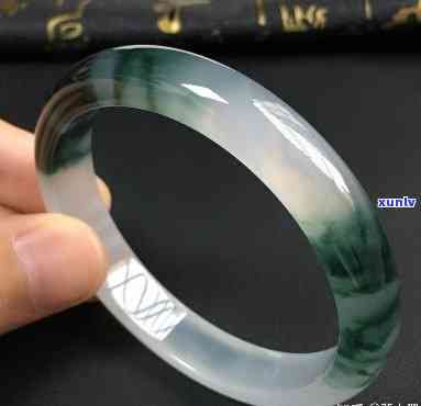 玫瑰普洱是什么茶：介绍茶类，功效与适宜人群，以及口感评价。
