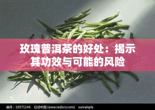 玫瑰普洱茶的好处：揭示其功效与可能的风险