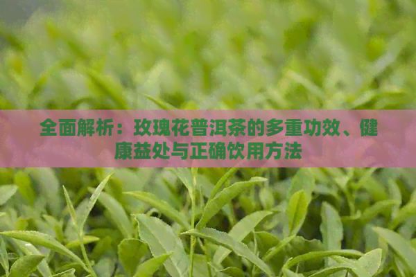 全面解析：玫瑰花普洱茶的多重功效、健康益处与正确饮用方法