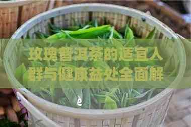 玫瑰普洱茶的适宜人群与健康益处全面解析