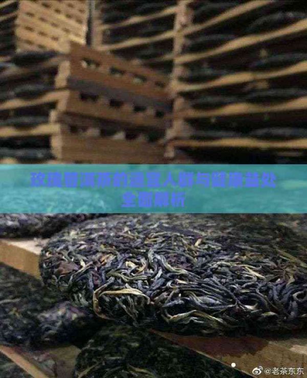 玫瑰普洱茶的适宜人群与健康益处全面解析