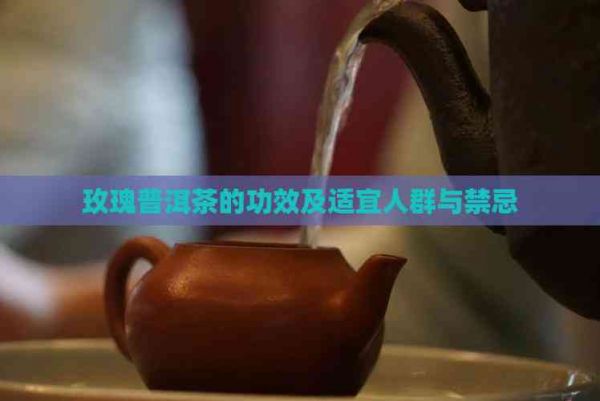 玫瑰普洱茶的功效及适宜人群与禁忌