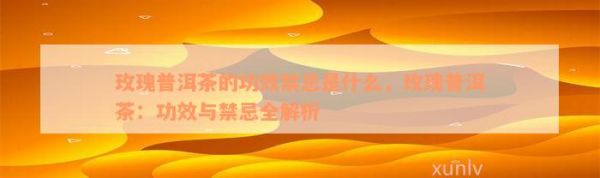 玫瑰普洱茶的功效禁忌是什么，玫瑰普洱茶：功效与禁忌全解析