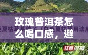 玫瑰普洱茶怎么喝口感，避免失眠與不適？