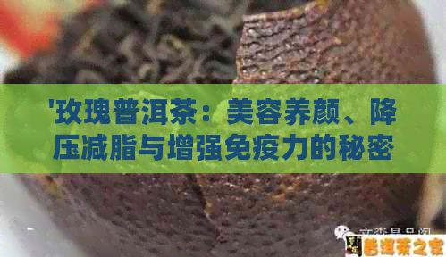 '玫瑰普洱茶：美容养颜、降压减脂与增强免疫力的秘密武器'