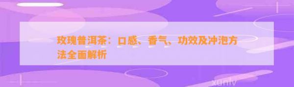 玫瑰普洱茶：口感、香气、功效及冲泡 全面解析