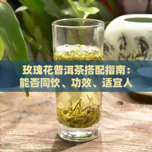 玫瑰花普洱茶搭配指南：能否同饮、功效、适宜人群与注意事项全解析