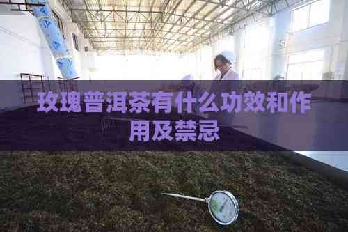 玫瑰普洱茶有什么功效和作用及禁忌