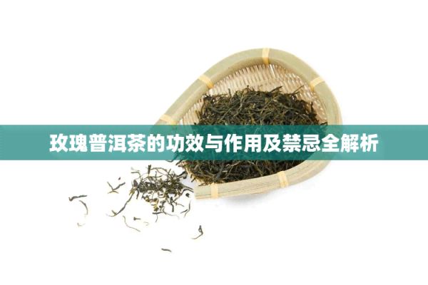 玫瑰普洱茶的功效与作用及禁忌全解析