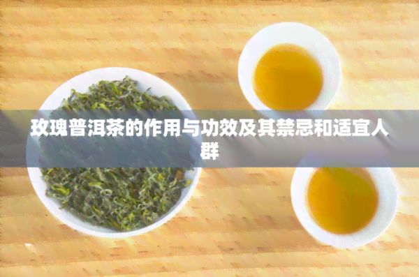 玫瑰普洱茶的作用與功效及其禁忌和適宜人群
