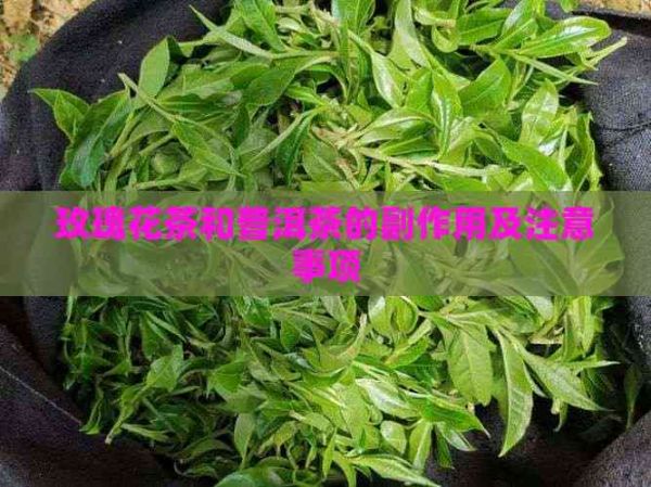 玫瑰花茶和普洱茶的副作用及注意事项