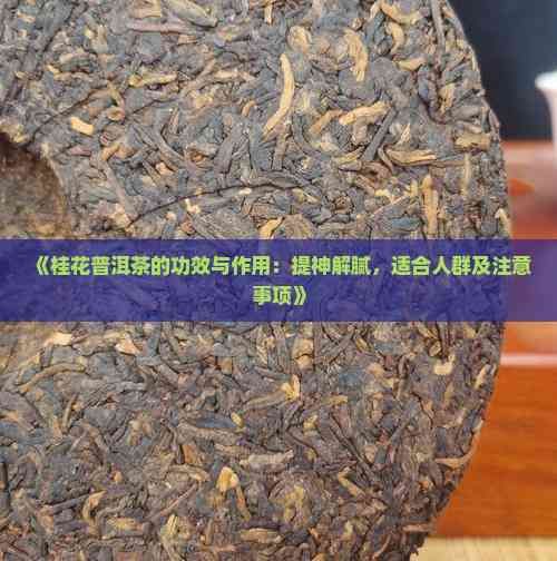 《桂花普洱茶的功效與作用：提神解膩，適合人群及注意事項(xiàng)》