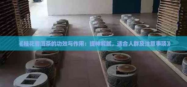 《桂花普洱茶的功效與作用：提神解膩，適合人群及注意事項(xiàng)》