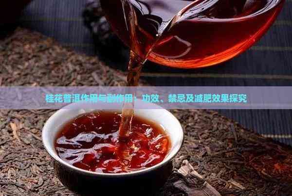 桂花普洱作用與副作用：功效、禁忌及減肥效果探究