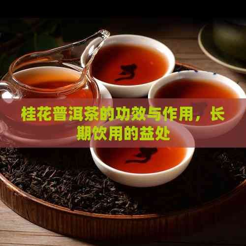 桂花普洱茶的功效與作用，長期飲用的益處