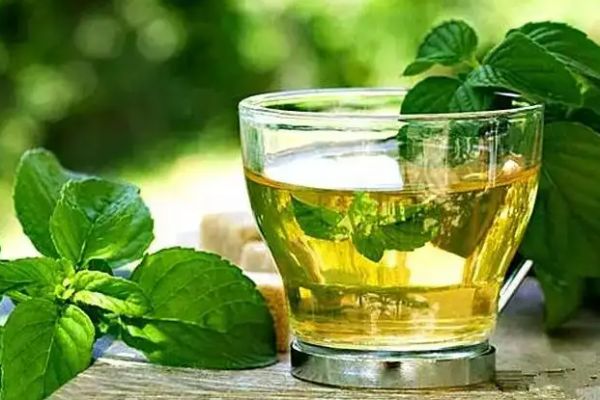 自制減肥茶 8款消脂茶消脂減肥超強效