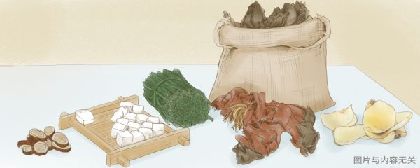 芝麻菜是苦苣吗 芝麻菜跟苦苣一样吗 芝麻菜是什么